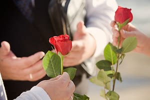 Ceremonia de la rosa bodas civiles